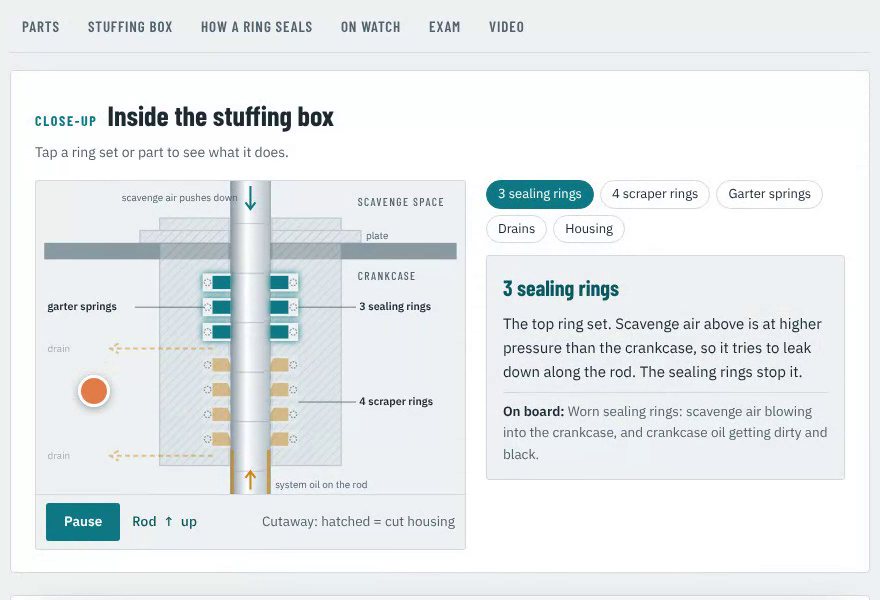 Interactive cutaway of the piston rod stuffing box with sealing rings, scraper rings and garter springs